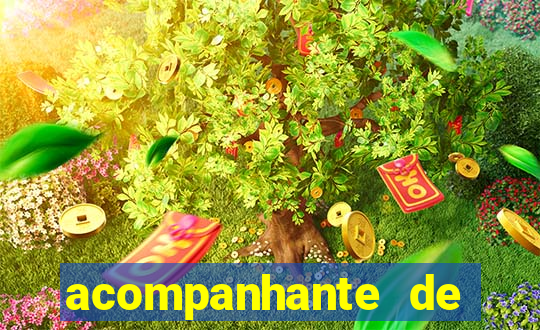 acompanhante de feira de santana